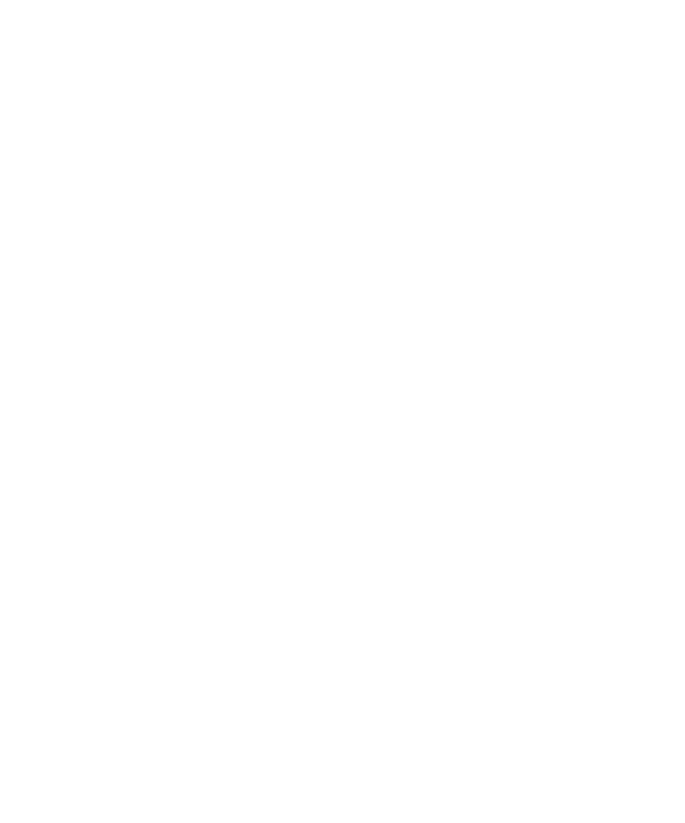 247° Aniversario de Viedma